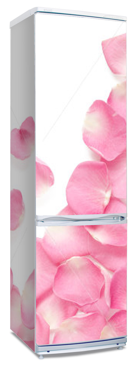 Наклейка на холодильник с лепестками розовой розы - фото 1 - id-p22572832