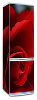 Наклейка на холодильник "Темно-красная роза"