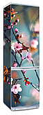 Наклейка на холодильник "Цветущая сакура, вишня"