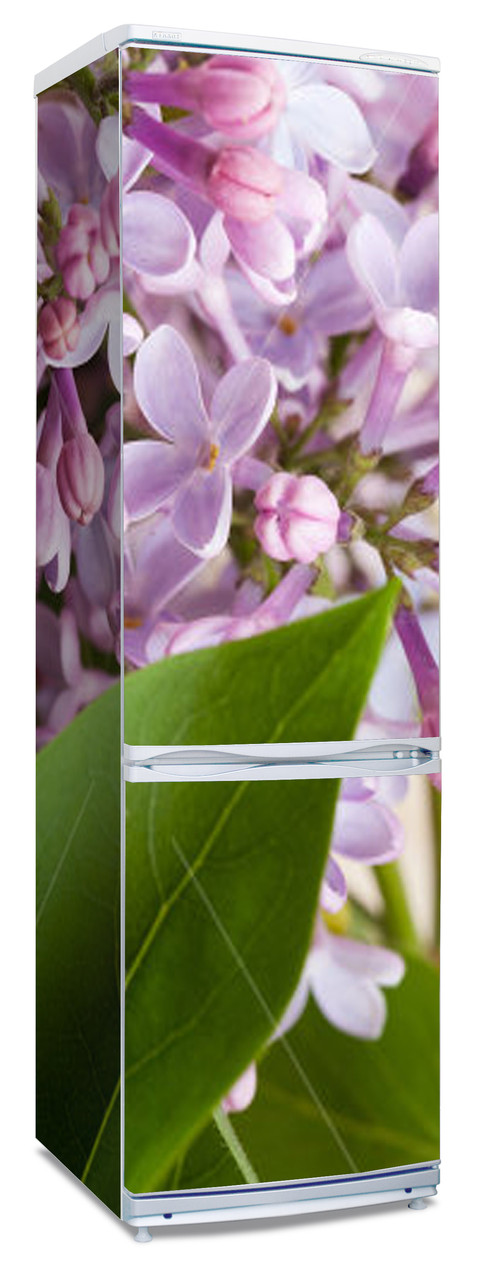Наклейки на холодильник "Цветы и листья сирени" - фото 1 - id-p22572872