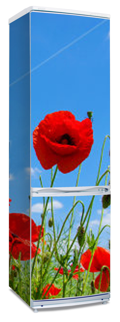 Наклейки на холодильник "Красный мак в поле, голубое небо"