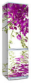 Наклейки  на холодильник "Фиолетовая орхидея, отражение в воде"