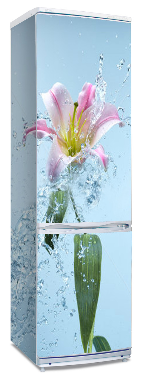 Наклейки  на холодильник "Розовая лилия в брызгах воды"
