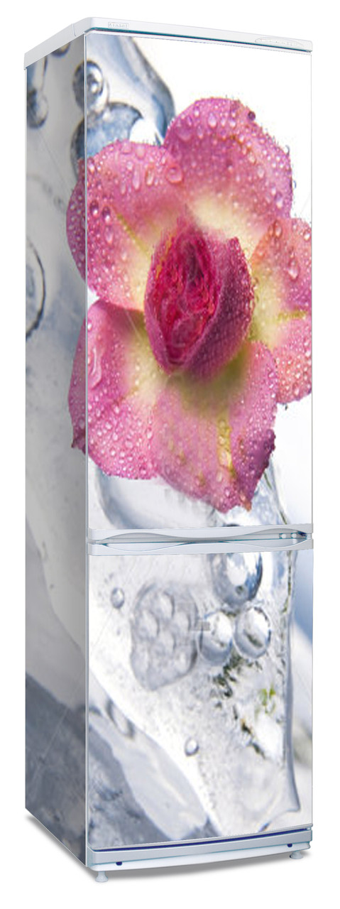 Наклейки на холодильник "Лиловый цветок, брызги воды" - фото 1 - id-p22572958