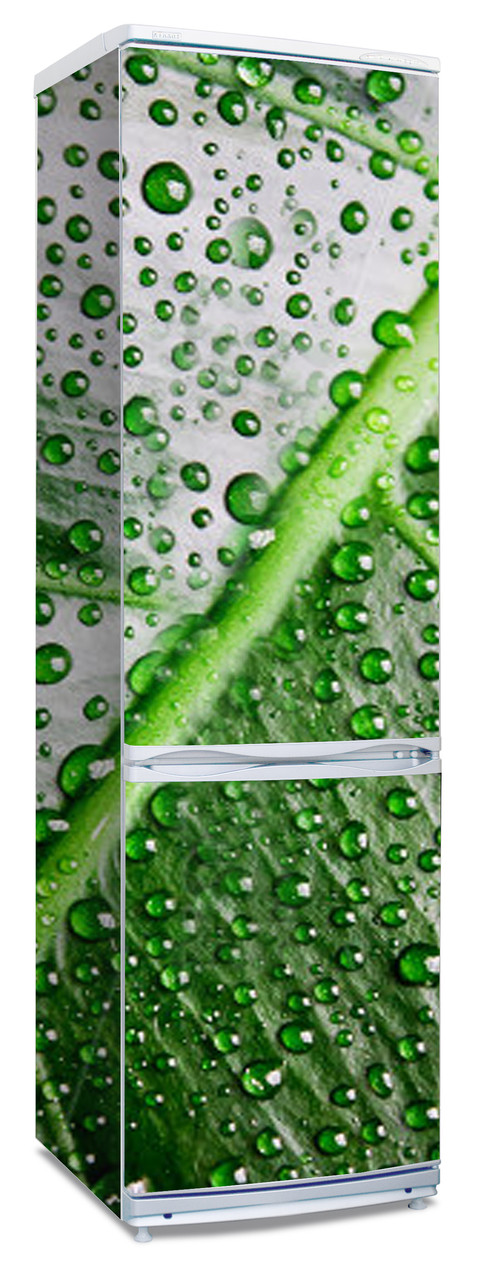 Наклейки  на холодильник "Зеленый лист в каплях воды"