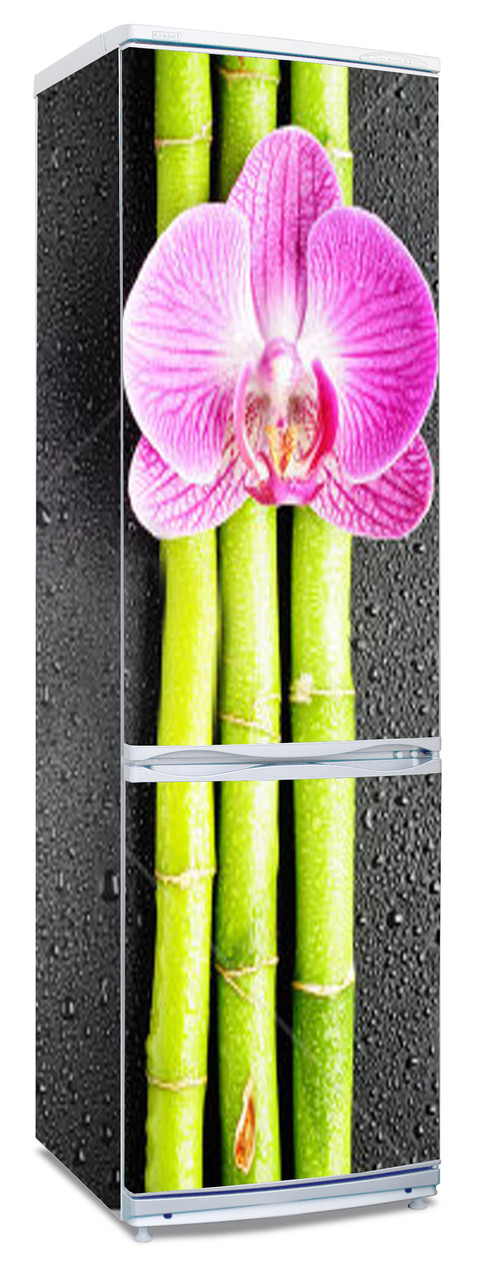 Наклейки  на холодильник "Орхидея, стебли бамбука, черный фон, капли воды"