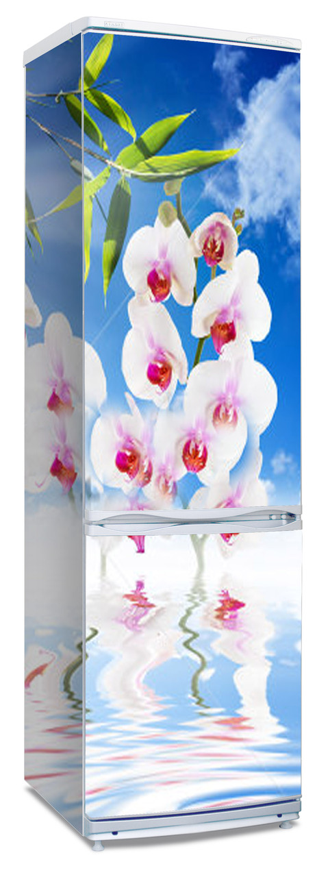 Наклейки  на холодильник "Орхидеи, листья на фоне голубого неба"