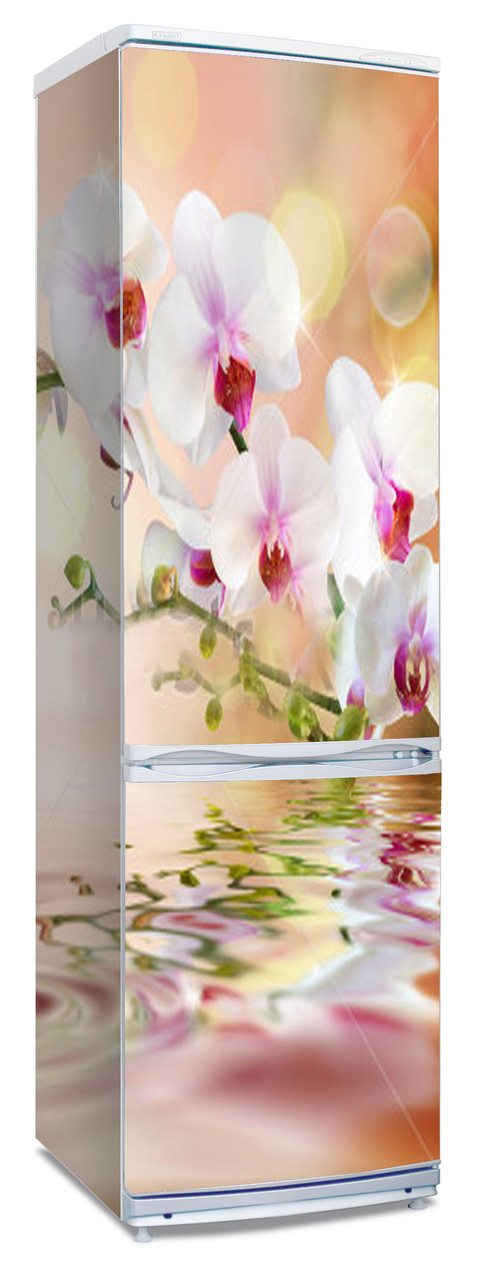 Наклейки  на холодильник "Орхидея, отражение в воде"