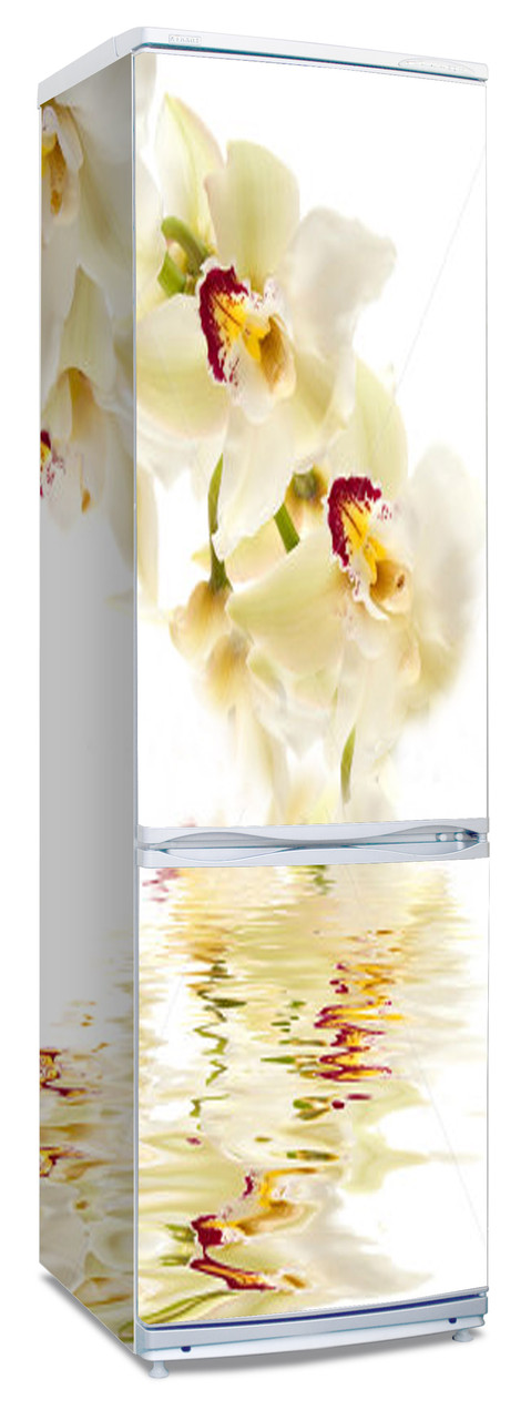 Наклейки на холодильник "Орхидея" - фото 1 - id-p22572976