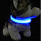 Светящийся ошейник для собак, нейлон, размер S, 35-43см, синий, фото 3