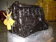 Двигатель Д-260 для трактора МТЗ-1221, погрузчика Амкодор с обменом