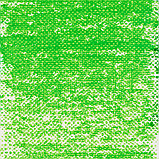 Пастель масляная "Van Gogh", 614.5 зеленый средний прочный, фото 2