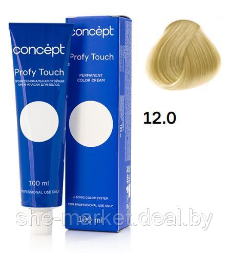 Стойкая крем-краска д/волос Profy Touch 12.0, 100 мл. (Concept) - фото 1 - id-p179502983