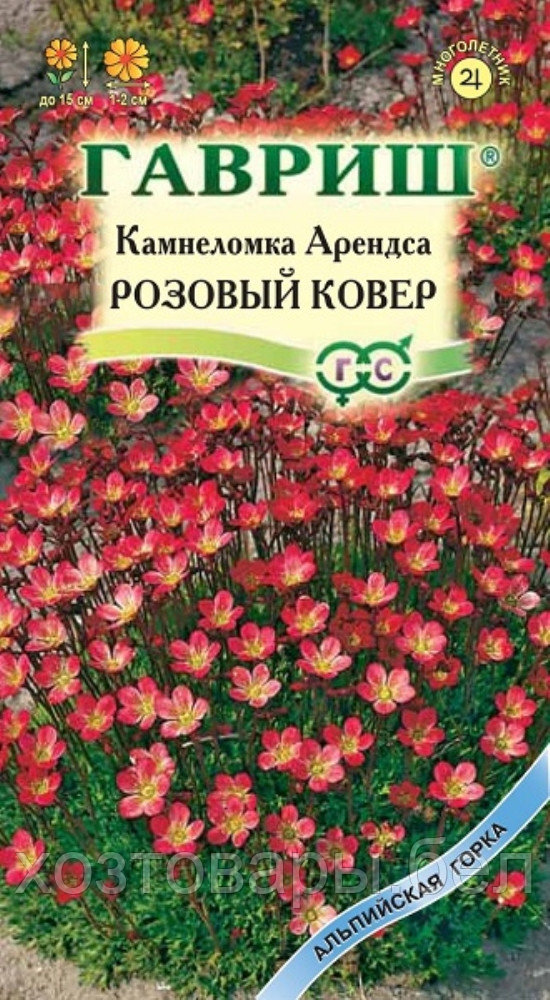 Камнеломка Арендса Розовый ковер 0,01г Мн 15см (Гавриш)