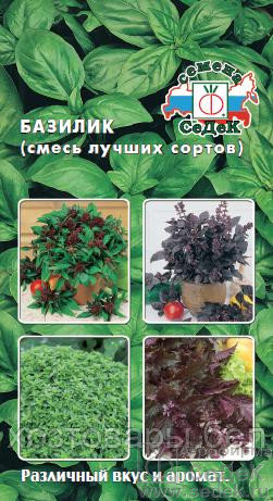 Базилик Смесь лучших сортов 0,5г (Седек)