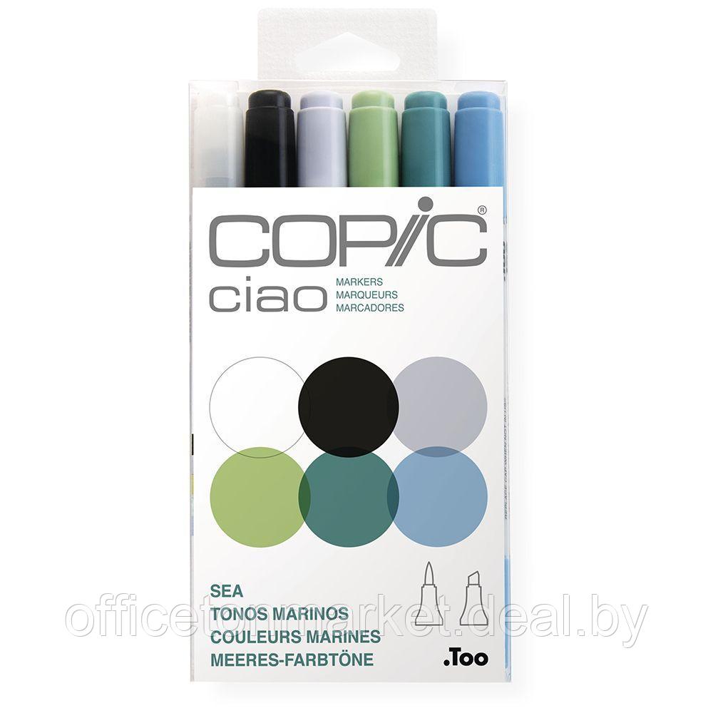 Набор маркеров перманентных "Copic ciao", 6 цветов, синие оттенки - фото 1 - id-p178285061
