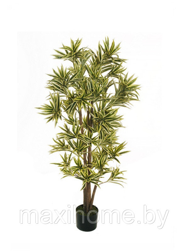 Искусственное растение "Драцена" в горшке, 1,5 м - фото 1 - id-p179593211