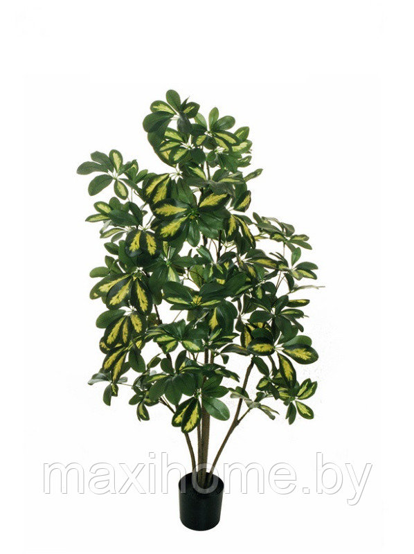 Искусственное растение "Шефлера карликовая" 1,2 м