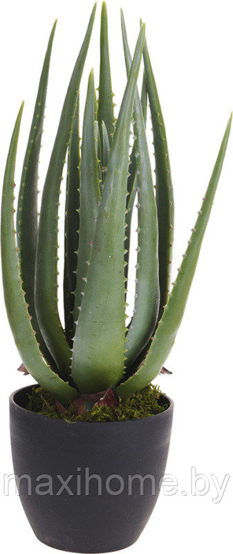 Искусственное растение "Алоэ" в горшке 45 см, пластик