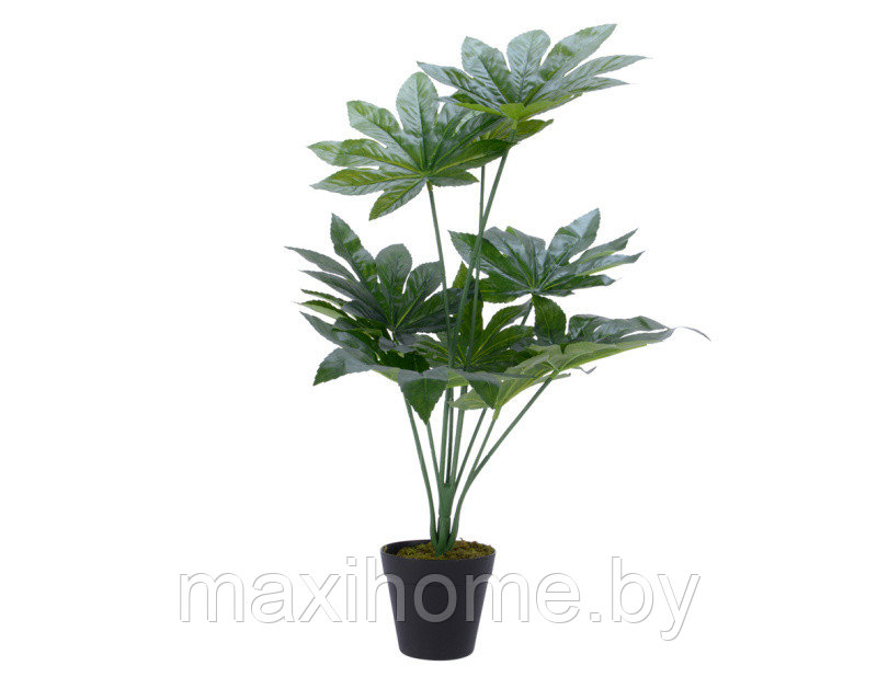 Искусственное растение "Аралия" в горшке, пластик, 54х58 см , зеленый - фото 1 - id-p179595492