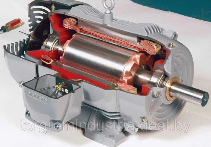 Диагностика и ремонт электродвигателей - фото 1 - id-p179600148