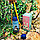 Термос с кружечкой / поильник с силиконовой трубочкой Зверята в  чехле с ремешком Лев, фото 4