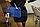 Комплект сумочек Fashion Bag под кожу питона 6в1 Бежевый, фото 8