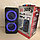 Профессиональная акустическая система ELtronic Dance box 300 (Два динамика по 10 дюймов, FM-радио, караоке,, фото 3