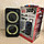 Профессиональная акустическая система ELtronic Dance box 300 (Два динамика по 10 дюймов, FM-радио, караоке,, фото 10