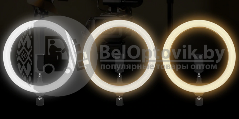 Кольцевая светодиодная лампа подсветка Nova M30 LED 180 d30 см ШТАТИВ - фото 5 - id-p179628802