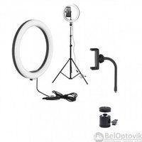 Кольцевая светодиодная лампа подсветка (селфи кольцо) MINI RING FILL Light LED 160 / d 26 см ШТАТИВ