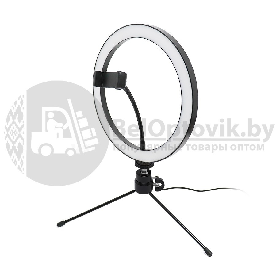 Кольцевая светодиодная лампа подсветка (селфи кольцо) MINI RING FILL Light LED 160 / d 26 см ШТАТИВ - фото 7 - id-p179628807