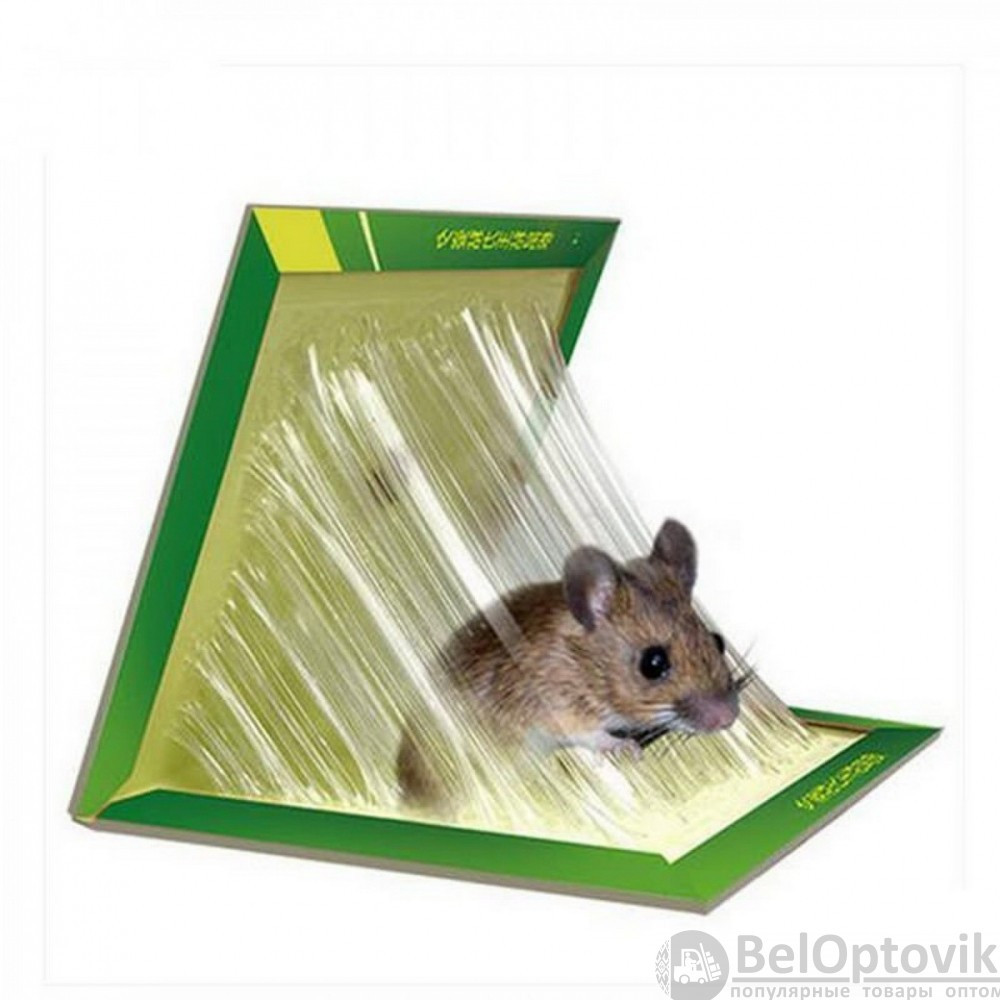 Липкая ловушка для мышей и насекомых MouseRat Glue Board - фото 9 - id-p179628922