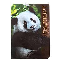 Обложка на паспорт «Панда»