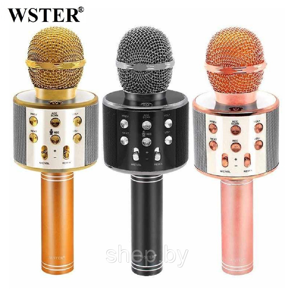 Беспроводной микрофон караоке Wster WS-858 (оригинал) - фото 1 - id-p179647608