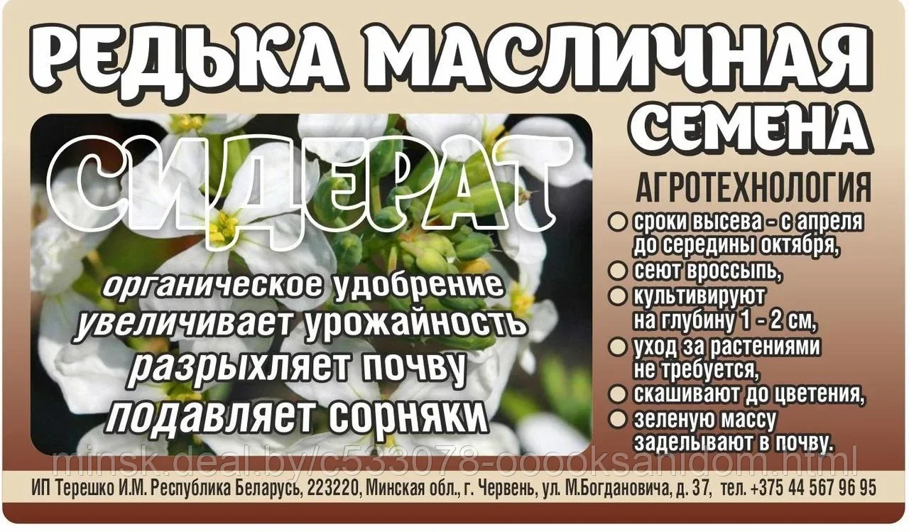 Купить Семена В Могилеве Интернет