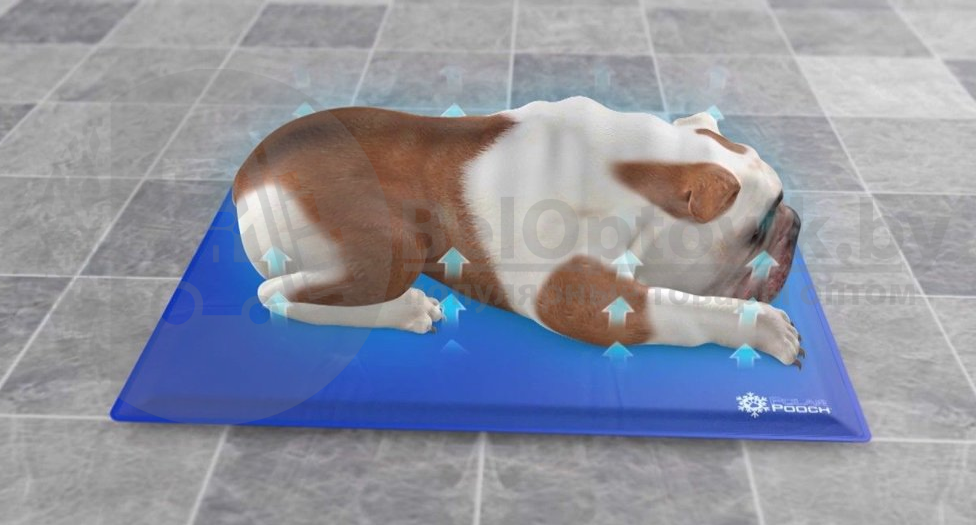 Инновационный охлаждающий коврик для животных (питомцев) Polar Pooch, 81х51 см - фото 8 - id-p179627400
