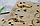 Миниатюрный деревянный конструктор Uniwood Тираннозавр Сборка без клея, 27 деталей, фото 4