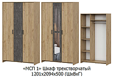 Шкаф трехдверный МСП 1 фабрика SV-мебель (ТМ Просто хорошая мебель) 3 варианта цвета, фото 2