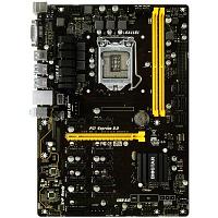 BIOSTAR MB TB250-BTC PRO, LGA 1151, B250, 2xDDR4, 1xPCI-E x16, 11xPCI-E x1, DVI, 6xSATA, LAN, ATX