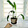 Скатерть Тепломакс гибкое стекло Пленка из ПВХ 120x80 см (толщина 0.7 мм), фото 7