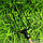 Вилы классические Торнадика TORNADO 4 штыка, фото 3