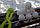 Игрушка для снега Снежколеп (снеголеп),  диаметр шара 6 см, дл. 26 см  Оранжевый, фото 5