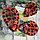 Солевая грелка Мультяшки. Цвета Микс Мишка (15,5 х 14,0 см), фото 4