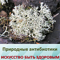 Природные антибиотики