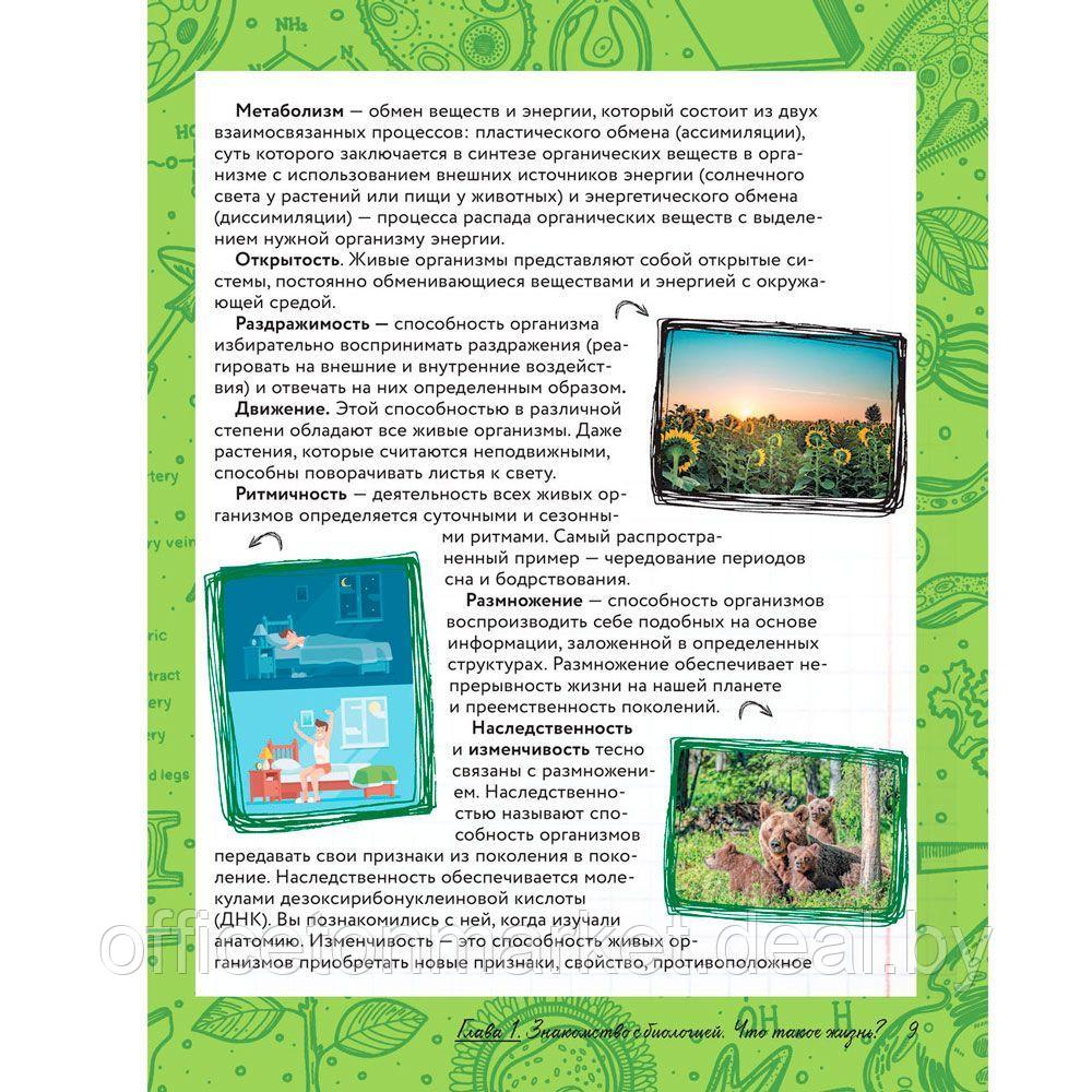 Книга "Увлекательно о биологии: в иллюстрациях", Андрей Шляхов - фото 8 - id-p178286781