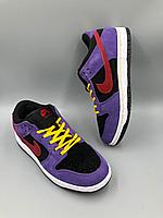 Кроссовки женские Nike SB черно-фиолетовые
