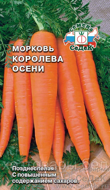 Морковь Королева Осени 2г (Седек)