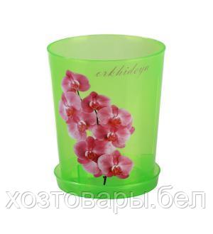 Кашпо для орхидей с поддоном 1,2л 12,5*15см зелено-прозрачный - фото 1 - id-p179935508