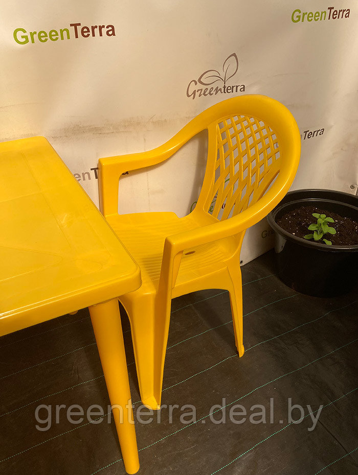 Пластиковый стул-кресло "Виктория" - фото 6 - id-p123965421